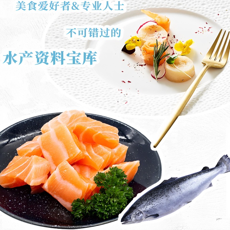 Seafood Cookbook DK 300 Classi - Home Cooking Cookbook 评论和价格